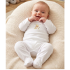 KW110: Baby DTF Printed All In one Sleepsuit- Honey Bear (3-12 months)